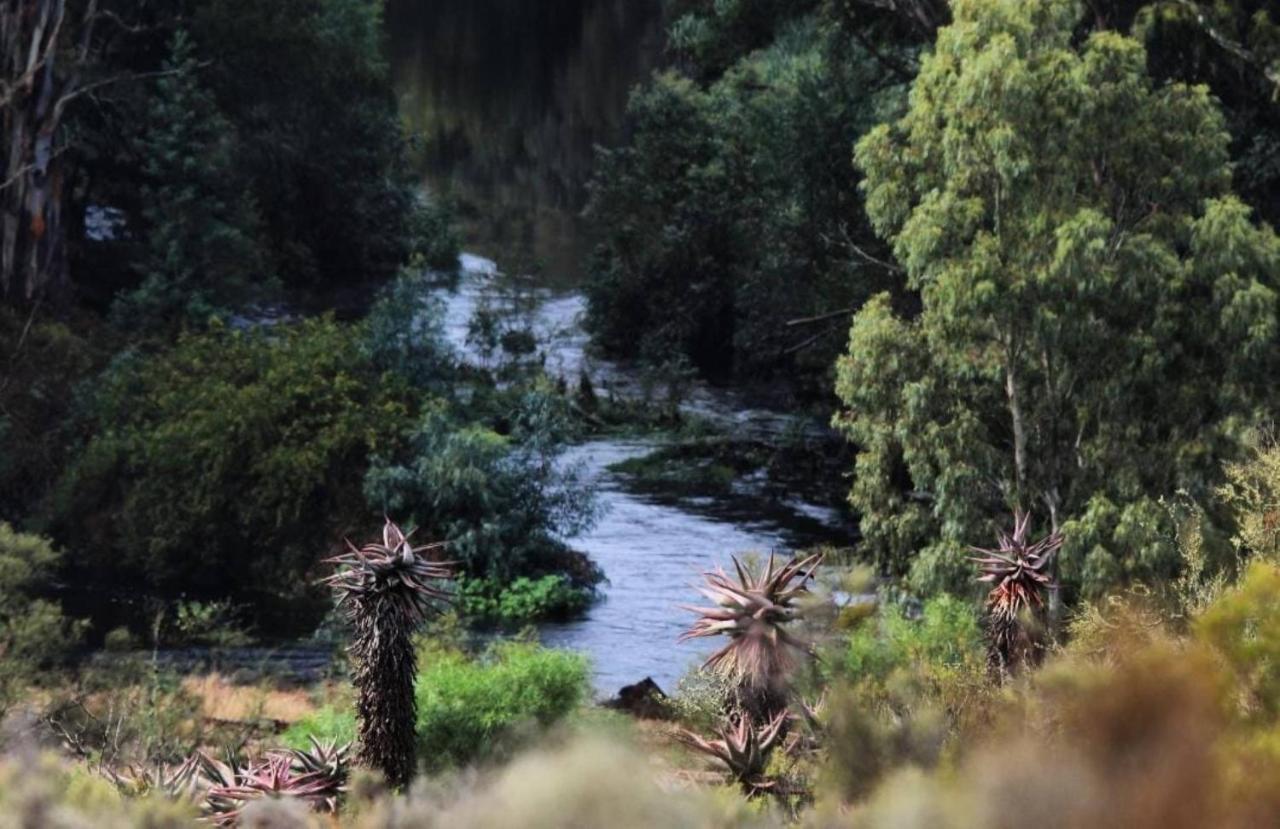 Africamps At Kam'Bati Villa Swellendam Buitenkant foto